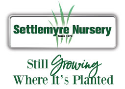 Settlemyre Nursery